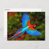 Farbenfrohe Scharlachrot Postkarte (Vorne/Hinten)