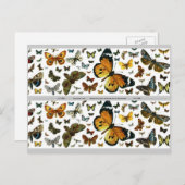 Farbenfrohe Schmetterlinge Antiquitätenbild Leseze Postkarte (Vorne/Hinten)
