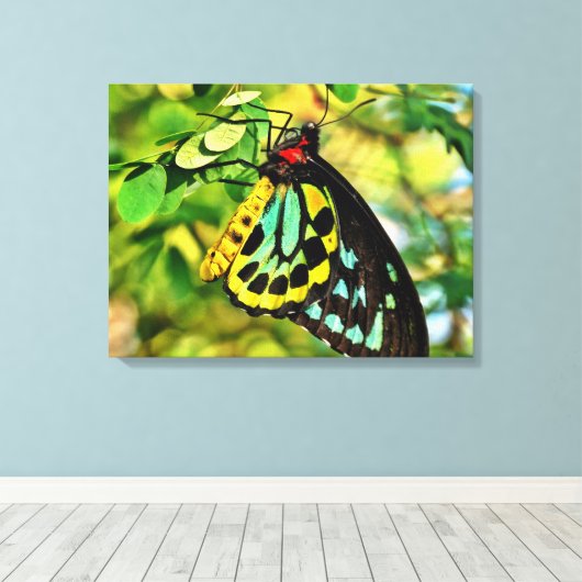 Farbenfrohe Schmetterlinge auf der Leinwand (Insitu (Holzboden))