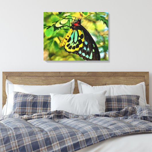 Farbenfrohe Schmetterlinge auf der Leinwand (Insitu (Schlafzimmer))