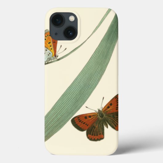 Farbenfrohe Schmetterlinge flattern um ein Blatt Case-Mate iPhone Hülle (Rückseite)