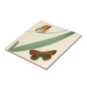 Farbenfrohe Schmetterlinge flattern um ein Blatt Fliese (Seite)