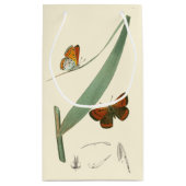 Farbenfrohe Schmetterlinge flattern um ein Blatt Kleine Geschenktüte (Rückseite)