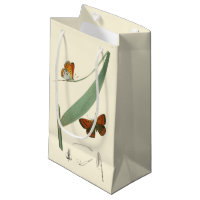 Farbenfrohe Schmetterlinge flattern um ein Blatt