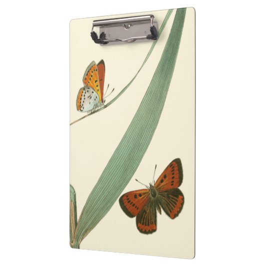 Farbenfrohe Schmetterlinge flattern um ein Blatt Klemmbrett (Links)