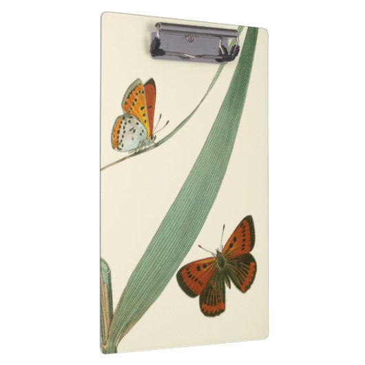 Farbenfrohe Schmetterlinge flattern um ein Blatt Klemmbrett (Rechts)