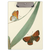 Farbenfrohe Schmetterlinge flattern um ein Blatt Klemmbrett (Vorderseite)