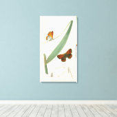 Farbenfrohe Schmetterlinge flattern um ein Blatt Leinwanddruck (Insitu (Holzboden))