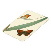 Farbenfrohe Schmetterlinge flattern um ein Blatt Magnet (Linke Seite)