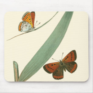 Farbenfrohe Schmetterlinge flattern um ein Blatt Mousepad