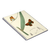 Farbenfrohe Schmetterlinge flattern um ein Blatt Notizblock (Rechte Seite)