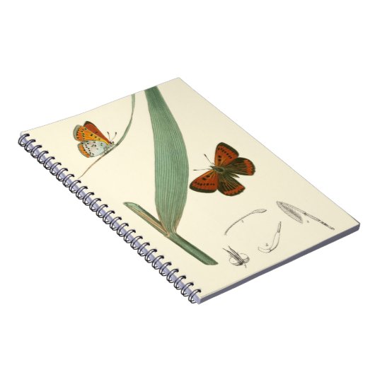 Farbenfrohe Schmetterlinge flattern um ein Blatt Notizblock (Rechte Seite)