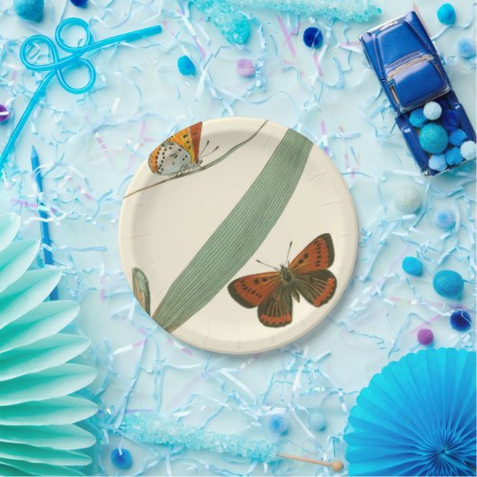 Farbenfrohe Schmetterlinge flattern um ein Blatt Pappteller (Party)