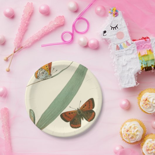 Farbenfrohe Schmetterlinge flattern um ein Blatt Pappteller (Party)