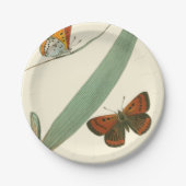 Farbenfrohe Schmetterlinge flattern um ein Blatt Pappteller (Vorderseite)