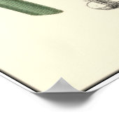 Farbenfrohe Schmetterlinge flattern um ein Blatt Poster (Ecke)