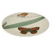 Farbenfrohe Schmetterlinge flattern um ein Blatt Schneidebrett (Ecke)