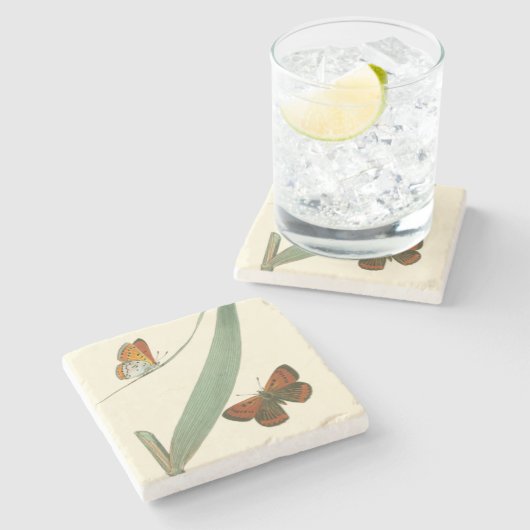 Farbenfrohe Schmetterlinge flattern um ein Blatt Steinuntersetzer (Seitenansicht)