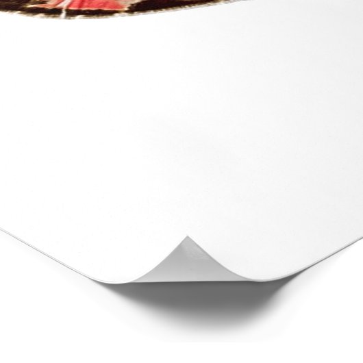 Farbenfrohe Schmetterlinge Plakatwerbung Poster (Ecke)