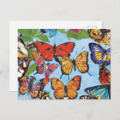Farbenfrohe Schmetterlinge Postkarte (Vorne/Hinten)