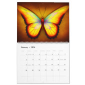 Farbenfrohe Schmetterlinge | Radiant Butterfly Mag Kalender (Feb 2026)