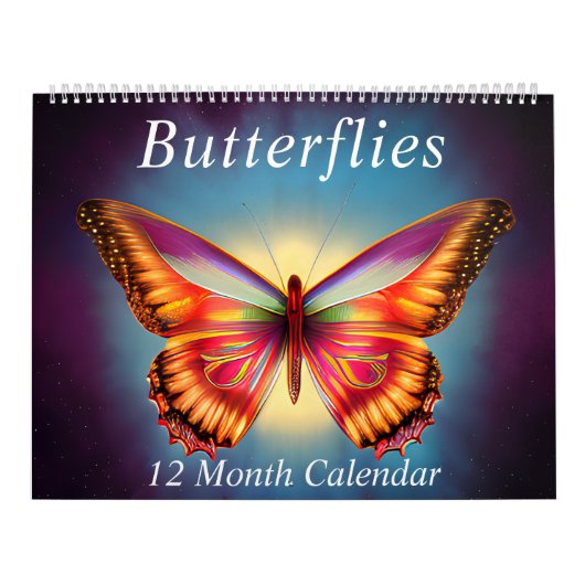 Farbenfrohe Schmetterlinge | Radiant Butterfly Mag Kalender (Titelbild)
