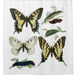 Farbenfrohe Schmetterlinge und Raupen Duschvorhang