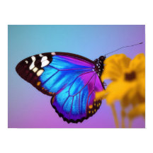 Farbenfrohe Schmetterlingposter