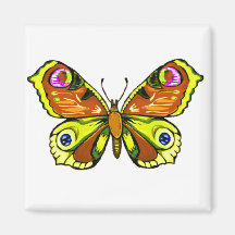 Farbenfrohe Schönheit 5