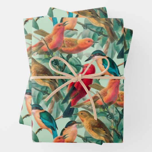 Farbenfrohe Schwangvögel und Muster für grüne Blät Geschenkpapier Set (Beispiel)