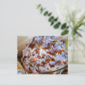 Farbenfrohe Seashell Postcard Postkarte (Stehend Vorderseite)