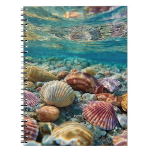 Farbenfrohe Seashells Underwater Ocean Notebook Notizblock