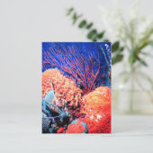 Farbenfrohe Seesammlung Postcard Postkarte (Stehend Vorderseite)