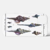 Farbenfrohe Seven Seashells Case-Mate iPhone Hülle (Rückseite (Horizontal))