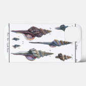 Farbenfrohe Seven Seashells Case-Mate iPhone Hülle (Rückseite (Horizontal))