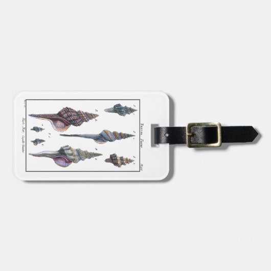 Farbenfrohe Seven Seashells Gepäckanhänger (Vorderseite horizontal)