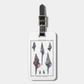 Farbenfrohe Seven Seashells Gepäckanhänger (Vorderseite vertikal)