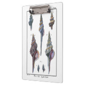 Farbenfrohe Seven Seashells Klemmbrett (Links)