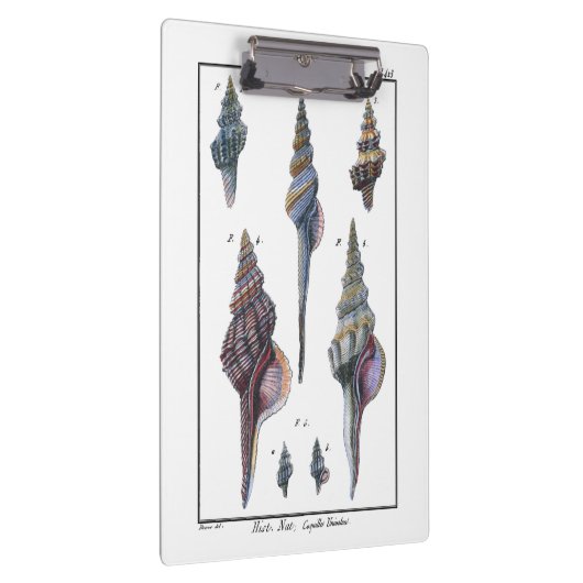 Farbenfrohe Seven Seashells Klemmbrett (Rechts)