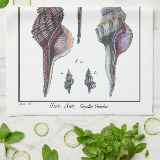 Farbenfrohe Seven Seashells Küchentuch (Gefaltet)