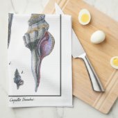 Farbenfrohe Seven Seashells Küchentuch (Viertel Falte)