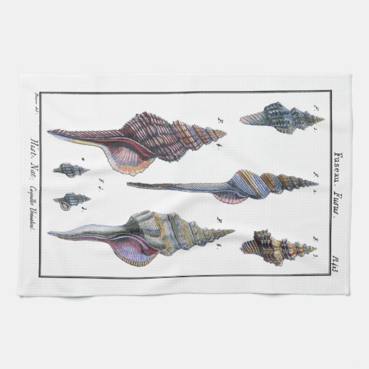 Farbenfrohe Seven Seashells Küchentuch (Horizontal)