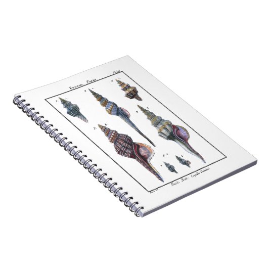 Farbenfrohe Seven Seashells Notizblock (Rechte Seite)