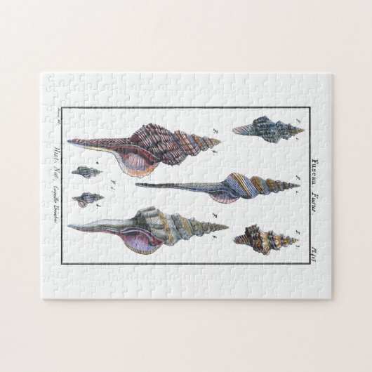 Farbenfrohe Seven Seashells Puzzle (Horizontal)