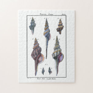 Farbenfrohe Seven Seashells Puzzle