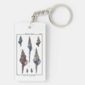 Farbenfrohe Seven Seashells Schlüsselanhänger (Rückseite)