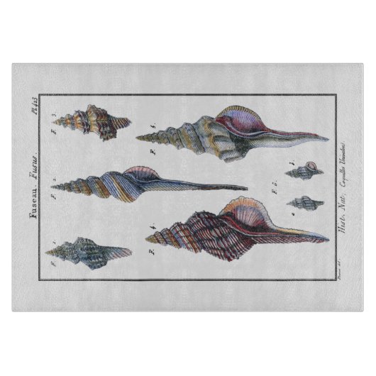 Farbenfrohe Seven Seashells Schneidebrett (Vorderseite)
