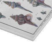 Farbenfrohe Seven Seashells Schneidebrett (Ecke)