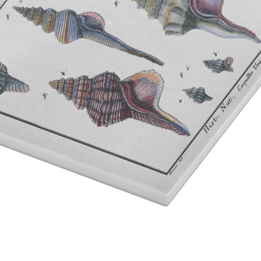 Farbenfrohe Seven Seashells Schneidebrett (Ecke)