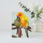 Farbenfrohe Shelter Bird-Postkarten Postkarte (Stehend Vorderseite)